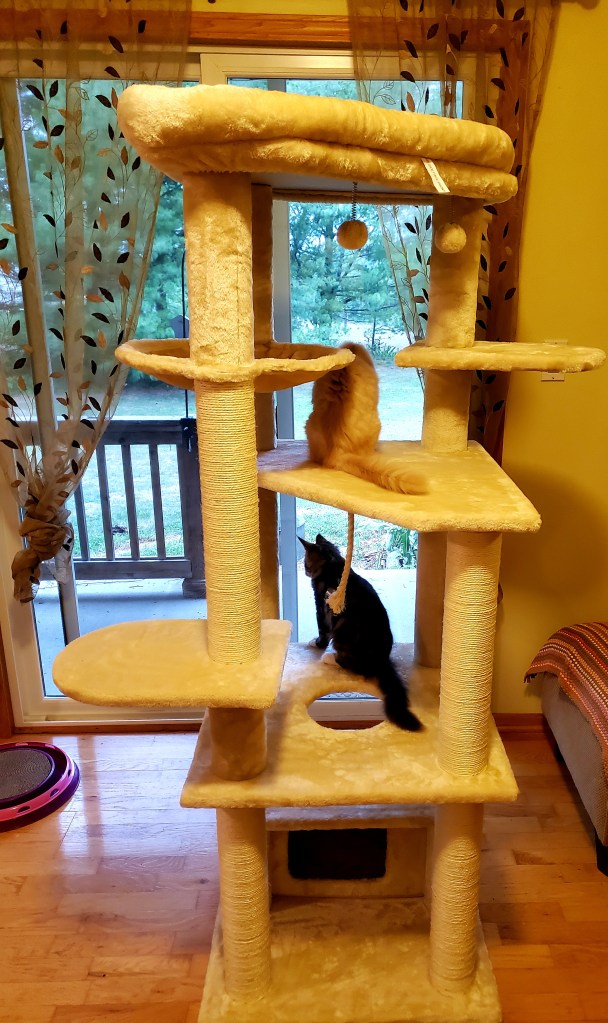 This image has an empty alt attribute; its file name is assembling-a-tree-stand.jpg