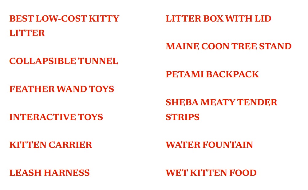 Litter Boxes with&nbsp;Lids