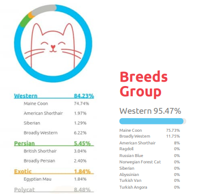 View of SIGGY’S AND FREYA’S DNA RESULTS – Maine Coon Adventures